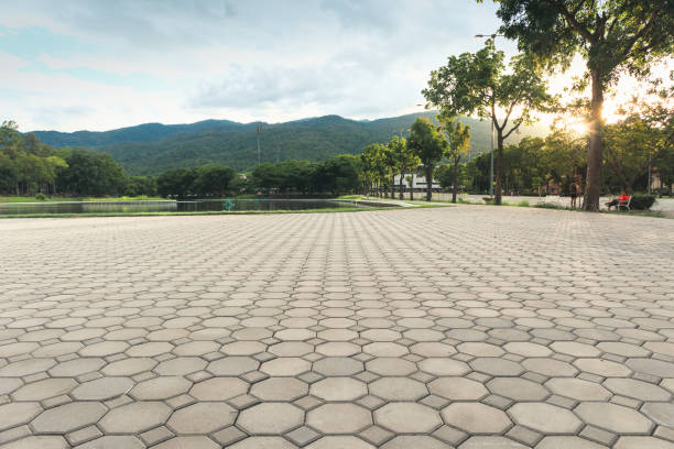 Best Local Driveway Pavers  in Flower Hill, MD